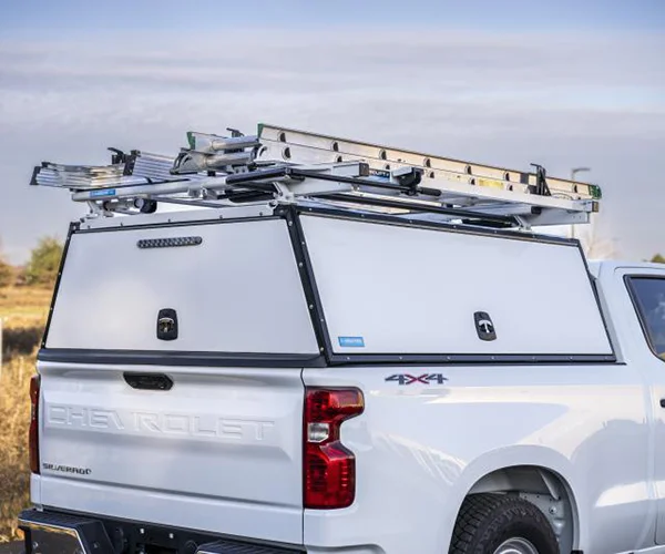 Truck cap with ladder mounted on top